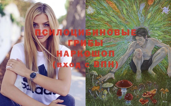 дживик Арсеньев