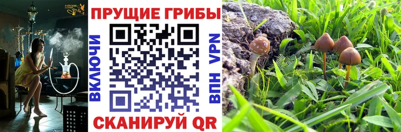 Галлюциногенные грибы Cubensis  Николаевск 